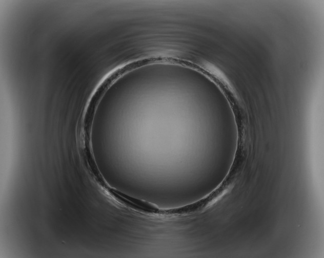 X0000086020924200703301029