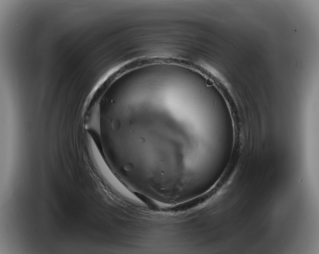 X0000086020925200703301029