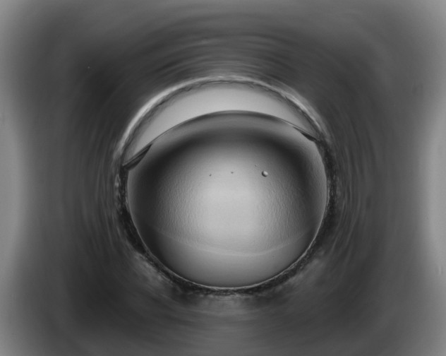 X0000086020926200703301029