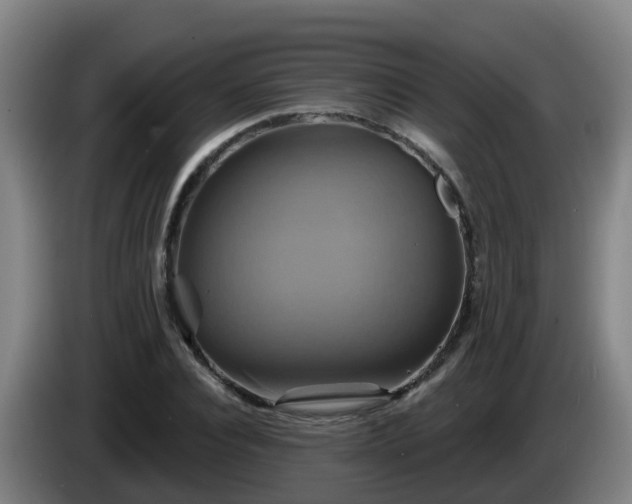 X0000086020928200703301029