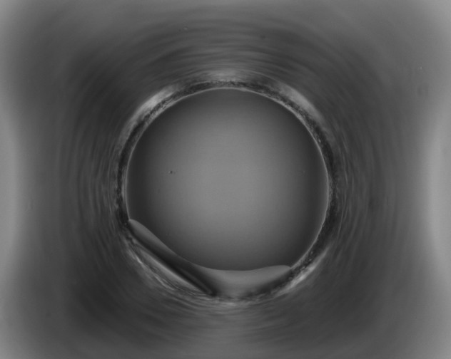 X0000086020930200703301029