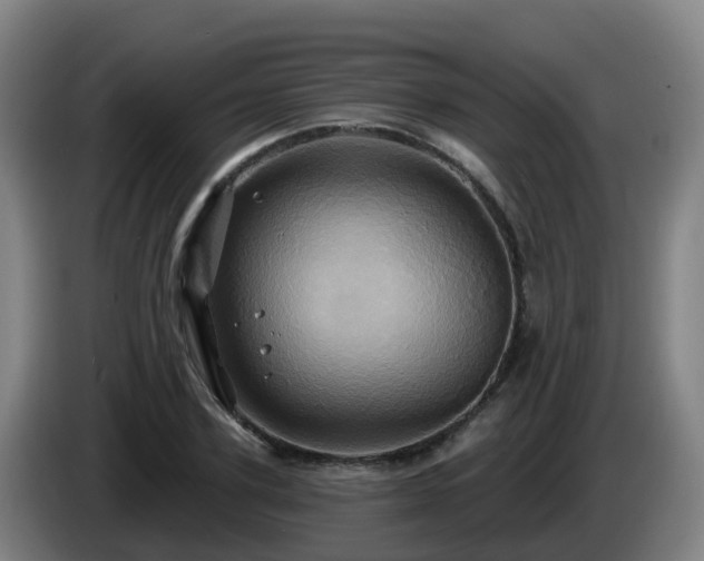 X0000086020931200703301029