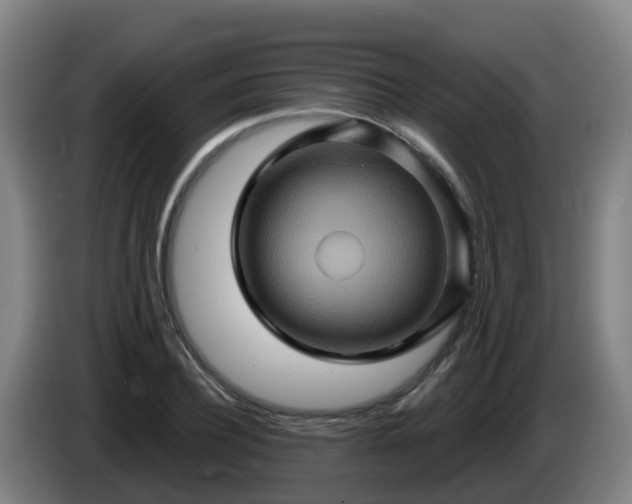 X0000086020932200703301029