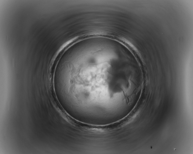 X0000086020933200703301029