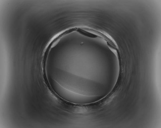 X0000086020935200703301029