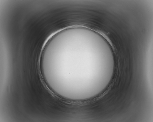 X0000086020936200703301029