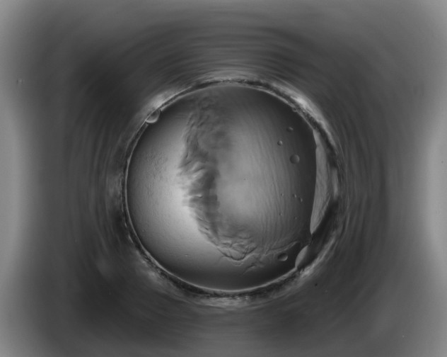 X0000086020937200703301029