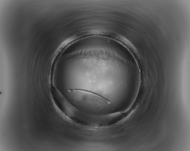 X0000086020938200703301029