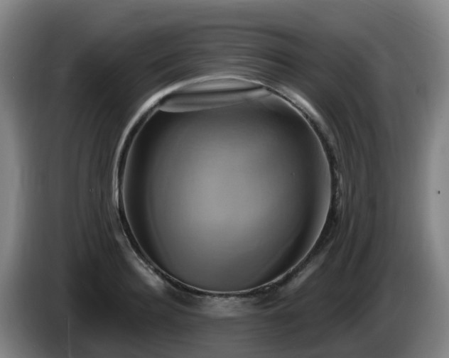 X0000086020940200703301029