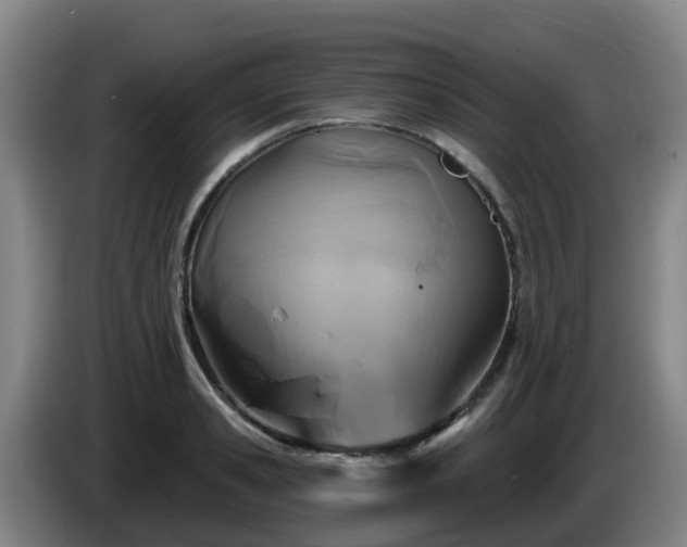 X0000086020941200703301029