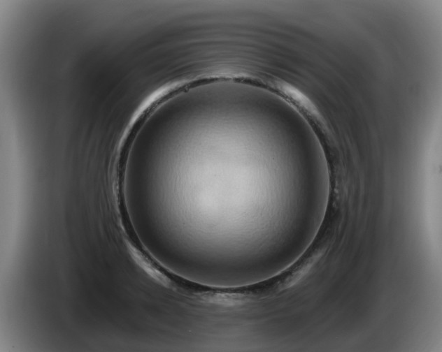 X0000086020942200703301029