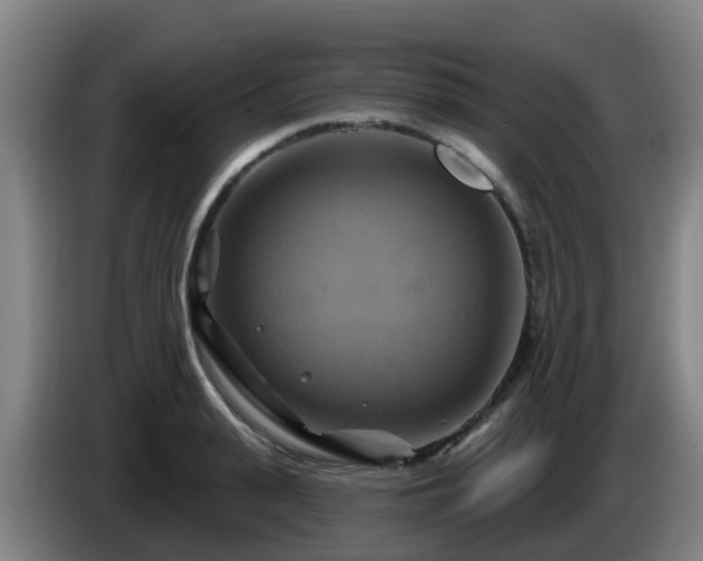 X0000086020943200703301029