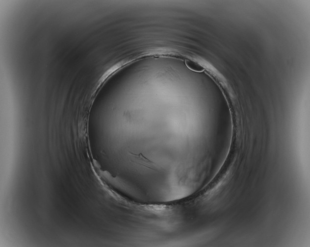 X0000086020945200703301029