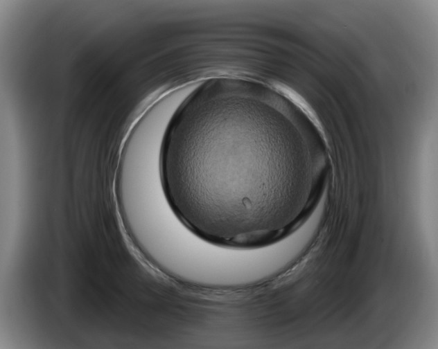 X0000086020946200703301029