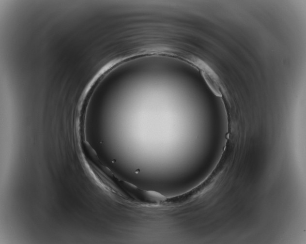 X0000086020947200703301029