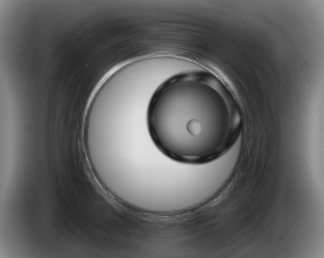 X0000086020948200703301029