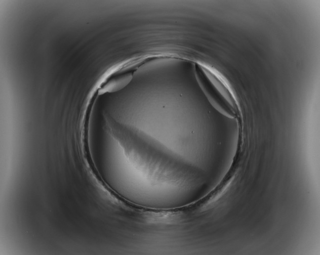 X0000086020949200703301029