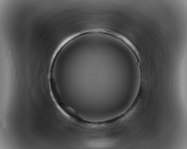 X0000086020951200703301029