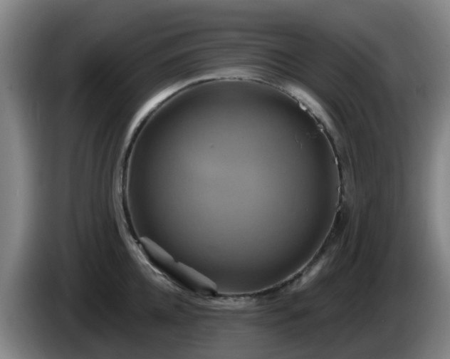 X0000086020952200703301029