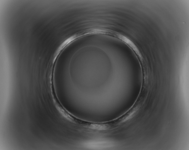 X0000086020954200703301029