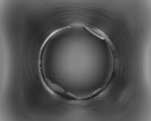 X0000086020955200703301029