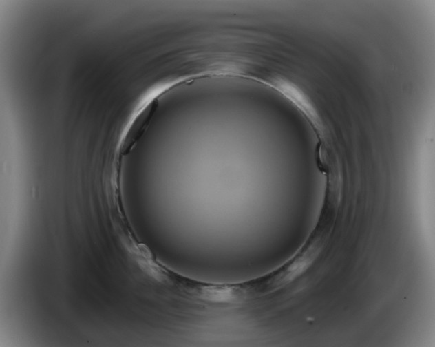X0000086020956200703301029