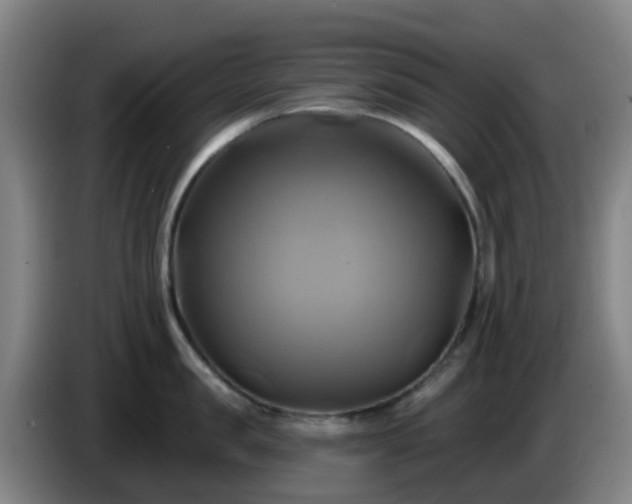 X0000086020957200703301029