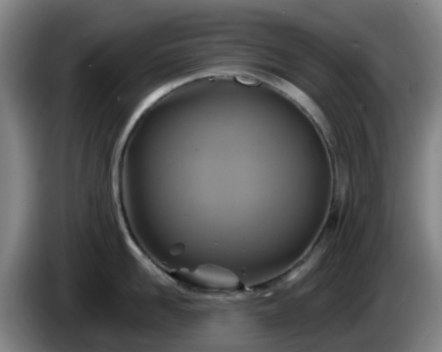 X0000086020958200703301029