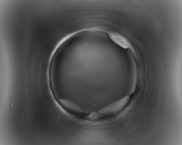 X0000086020959200703301029