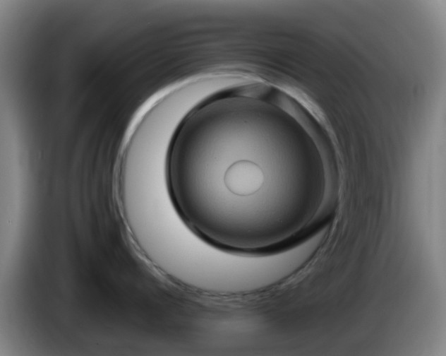 X0000086020960200703301029