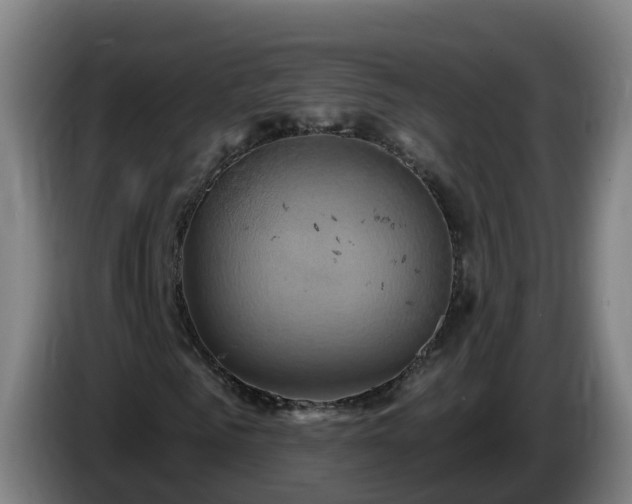 X0000086020961200703301029