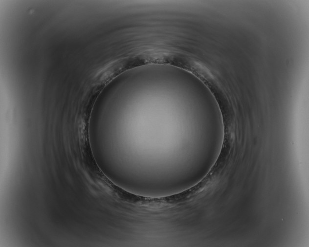 X0000086020964200703301029