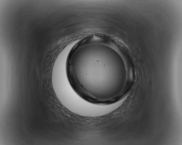 X0000086020965200703301029