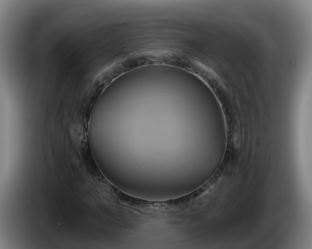 X0000086020966200703301029