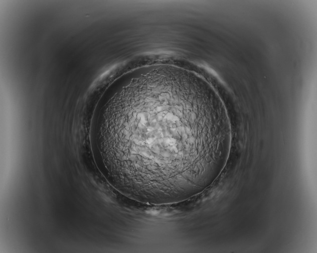 X0000086020967200703301029