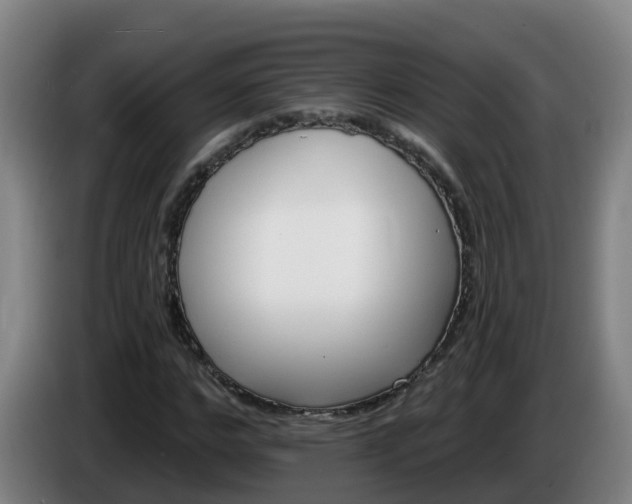 X0000086020968200703301029