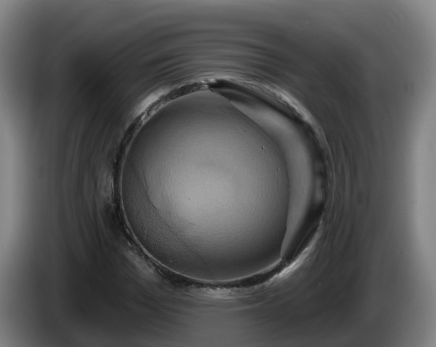 X0000086020969200703301029