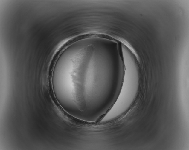 X0000086020972200703301029