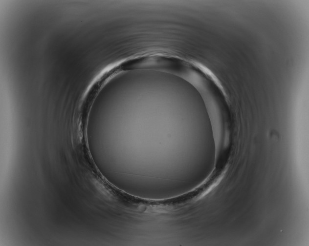 X0000086020973200703301029