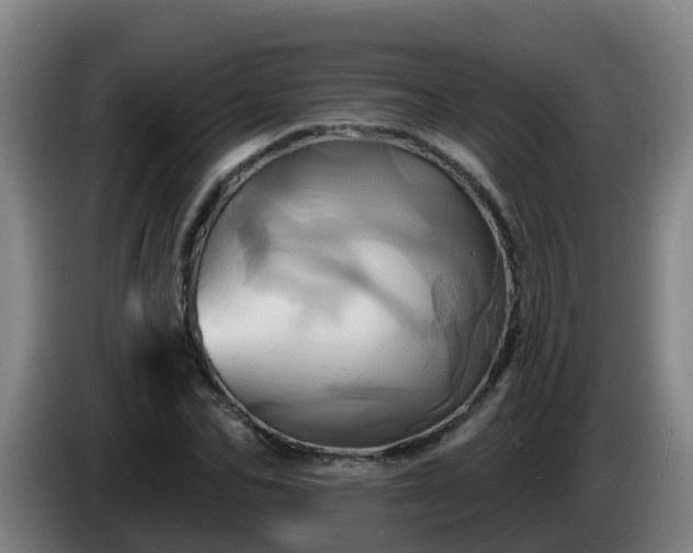 X0000086020974200703301029