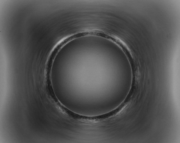 X0000086020975200703301029