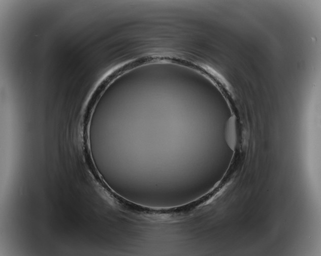 X0000086020976200703301028