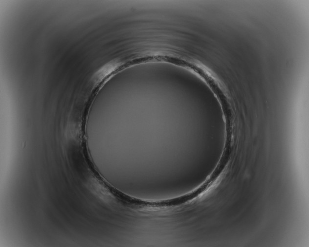 X0000086020977200703301028