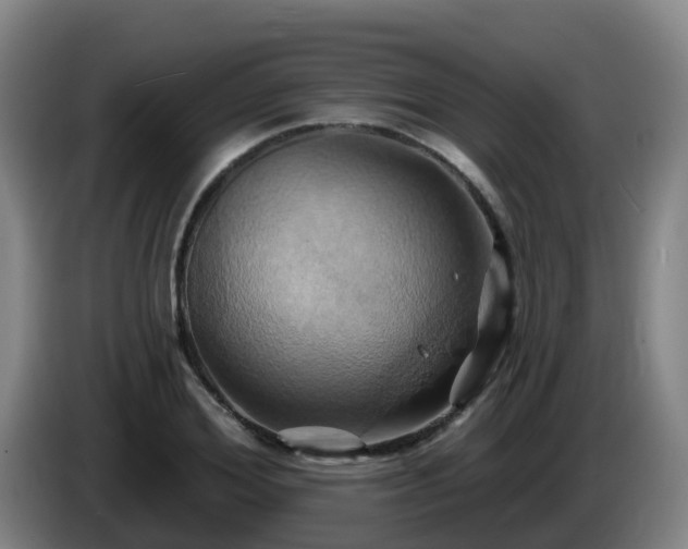 X0000086020980200703301028