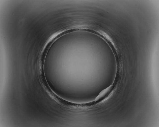 X0000086020981200703301028