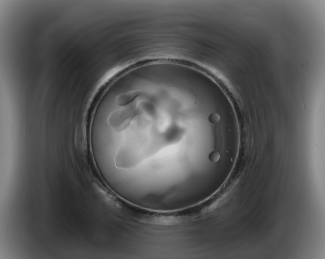 X0000086020982200703301028