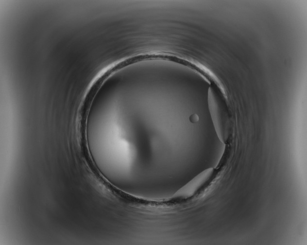 X0000086020983200703301028