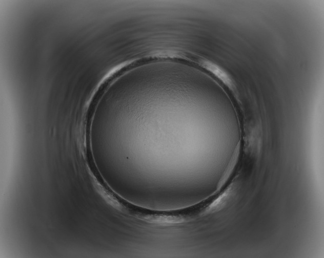 X0000086020984200703301028