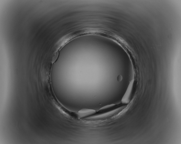 X0000086020985200703301028