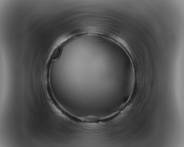 X0000086020987200703301028
